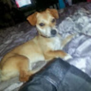 Meet your Posher, Cynthia